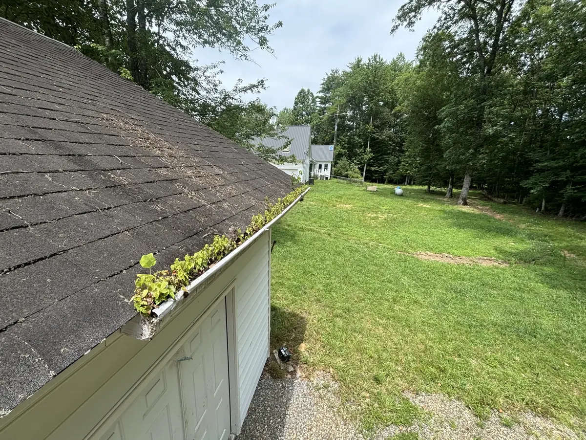 Dirty gutters filled with debris before cleaning